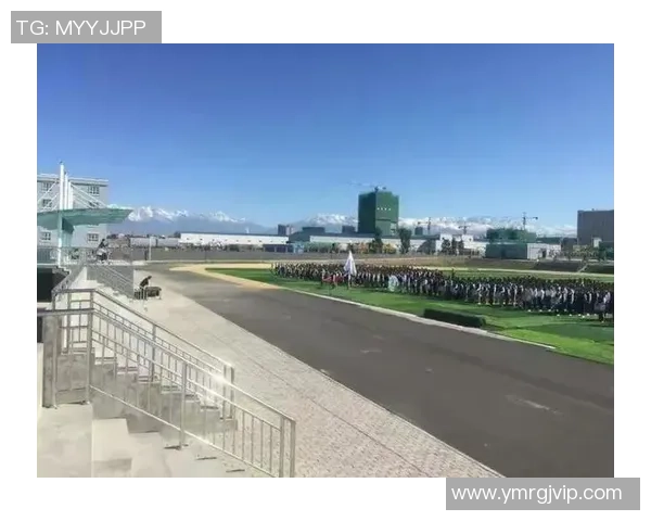 乒乓球场上的追梦旅程:陈静的深度对话与人生启示 乒乓球场上的追梦旅程:陈静的深度对话与人生启示